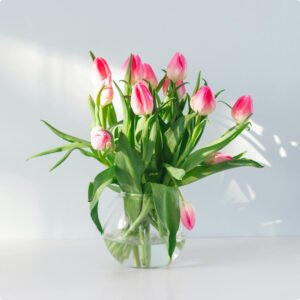 Home product 10